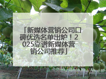 新媒体营销公司口碑优选名单出炉！2025靠谱新媒体营销公司推荐
