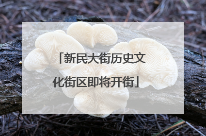 新民大街历史文化街区即将开街