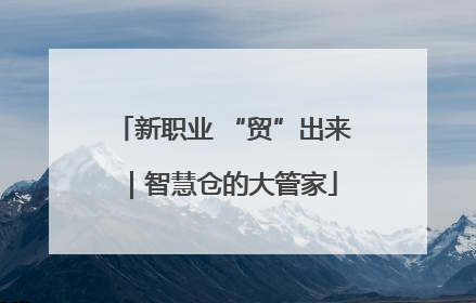 新职业 “贸”出来｜智慧仓的大管家