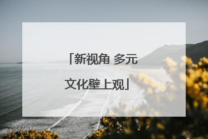 新视角 多元文化壁上观