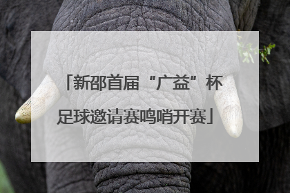 新邵首届“广益”杯足球邀请赛鸣哨开赛