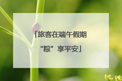 旅客在端午假期“粽”享平安