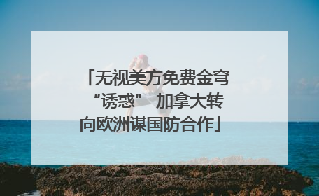 无视美方免费金穹“诱惑” 加拿大转向欧洲谋国防合作