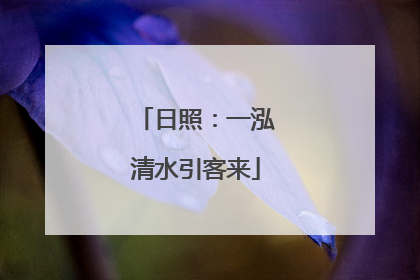 日照：一泓清水引客来