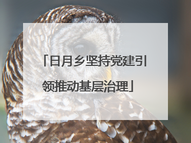 日月乡坚持党建引领推动基层治理
