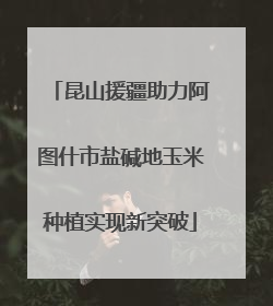 昆山援疆助力阿图什市盐碱地玉米种植实现新突破