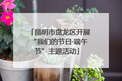 昆明市盘龙区开展“我们的节日·端午节”主题活动