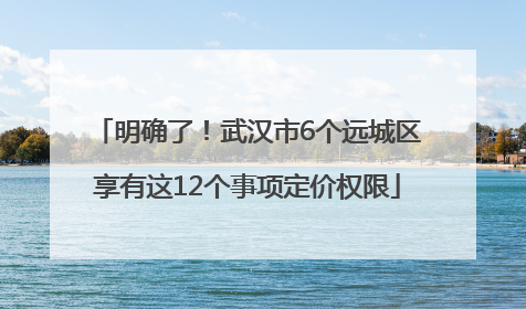 明确了！武汉市6个远城区享有这12个事项定价权限
