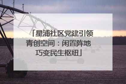 星浦社区党建引领青创空间：闲置阵地巧变民生枢纽