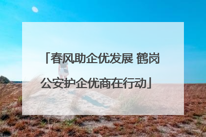 春风助企优发展 鹤岗公安护企优商在行动
