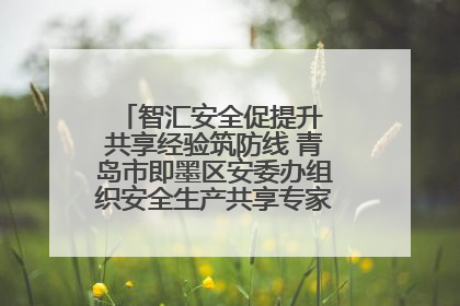 智汇安全促提升 共享经验筑防线 青岛市即墨区安委办组织安全生产共享专家现场观摩学习活动