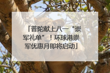 普陀献上八一“崇军礼单”！环球港崇军优惠月即将启动