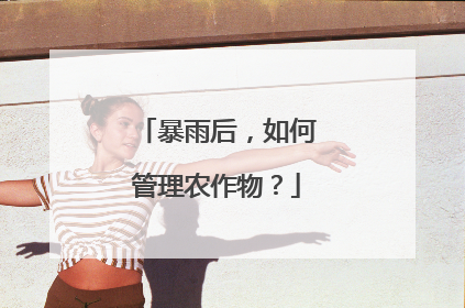 暴雨后，如何管理农作物？