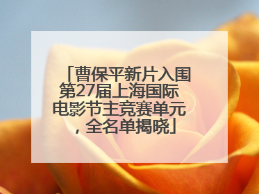 曹保平新片入围第27届上海国际电影节主竞赛单元，全名单揭晓