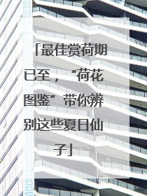 最佳赏荷期已至，“荷花图鉴”带你辨别这些夏日仙子