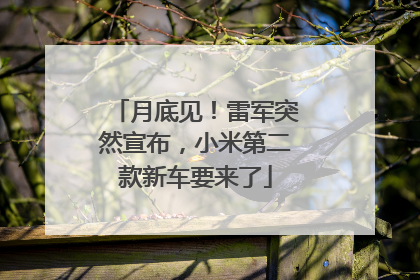 月底见！雷军突然宣布，小米第二款新车要来了