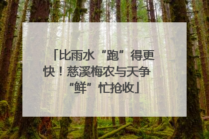 比雨水“跑”得更快！慈溪梅农与天争“鲜”忙抢收