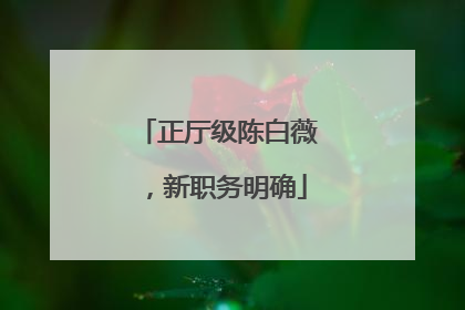 正厅级陈白薇，新职务明确