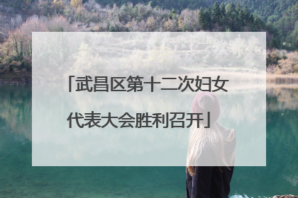 武昌区第十二次妇女代表大会胜利召开