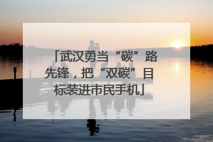武汉勇当“碳”路先锋，把“双碳”目标装进市民手机