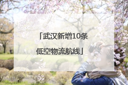 武汉新增10条低空物流航线