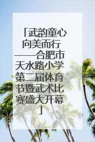 武韵童心 向美而行——合肥市天水路小学第二届体育节暨武术比赛盛大开幕