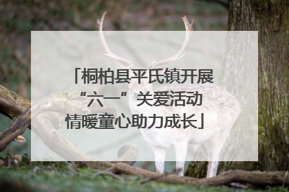 桐柏县平氏镇开展“六一”关爱活动 情暖童心助力成长