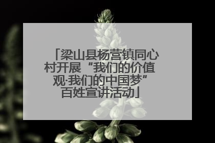 梁山县杨营镇同心村开展“我们的价值观·我们的中国梦”百姓宣讲活动