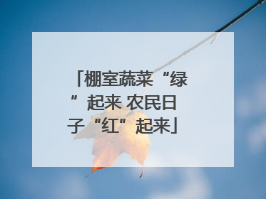棚室蔬菜“绿”起来 农民日子“红”起来