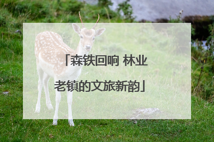 森铁回响 林业老镇的文旅新韵