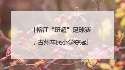 榕江“班超”足球赛，古州车民小学夺冠