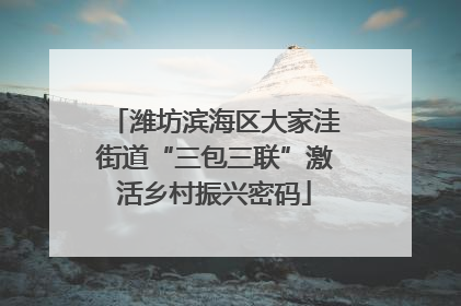 潍坊滨海区大家洼街道“三包三联”激活乡村振兴密码
