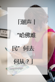 潮声丨“哈佛难民”何去何从？