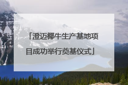 澄迈椰牛生产基地项目成功举行奠基仪式