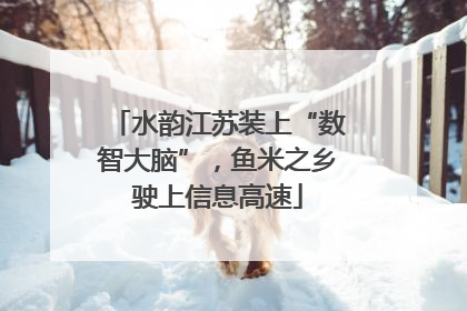 水韵江苏装上“数智大脑”，鱼米之乡驶上信息高速
