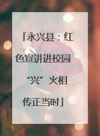 永兴县：红色宣讲进校园 “兴”火相传正当时