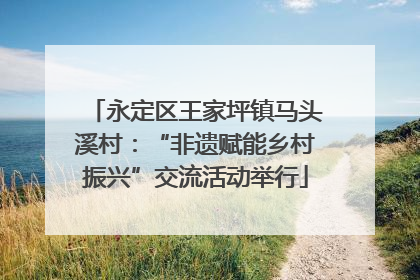 永定区王家坪镇马头溪村：“非遗赋能乡村振兴”交流活动举行