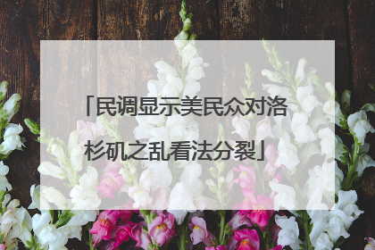 民调显示美民众对洛杉矶之乱看法分裂
