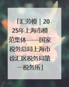 汇劳模｜2025年上海市模范集体——国家税务总局上海市徐汇区税务局第一税务所