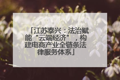 江苏泰兴：法治赋能“云端经济”，构建电商产业全链条法律服务体系