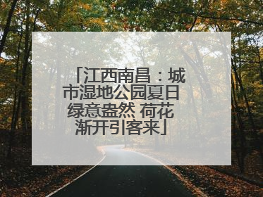 江西南昌：城市湿地公园夏日绿意盎然 荷花渐开引客来