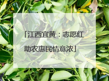 江西宜黄：志愿红助农惠民情意浓