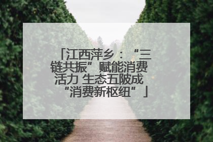 江西萍乡：“三链共振”赋能消费活力 生态五陂成“消费新枢纽”