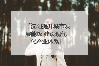 沈阳提升城市发展能级 建设现代化产业体系