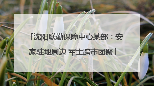 沈阳联勤保障中心某部：安家驻地周边 军士跨市团聚