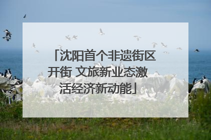 沈阳首个非遗街区开街 文旅新业态激活经济新动能