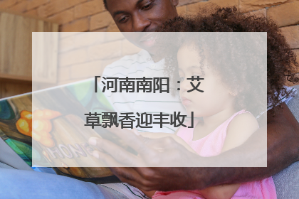 河南南阳：艾草飘香迎丰收
