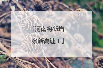 河南将新增三条新高速！