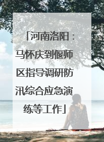 河南洛阳：马怀庆到偃师区指导调研防汛综合应急演练等工作