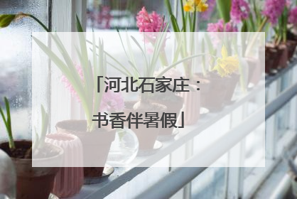 河北石家庄：书香伴暑假